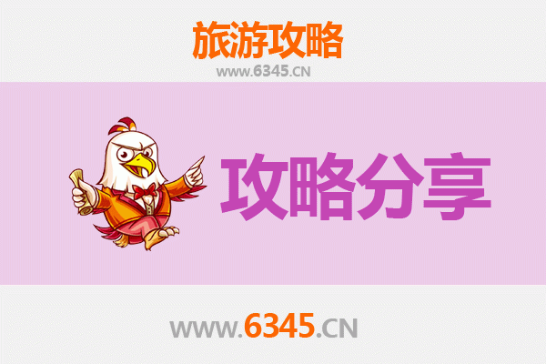 忻州五台山旅游攻略：跟团与自由行深度对比